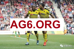 德甲第21轮拜仁vs霍芬海姆全场比赛录像回放2026年2月9日